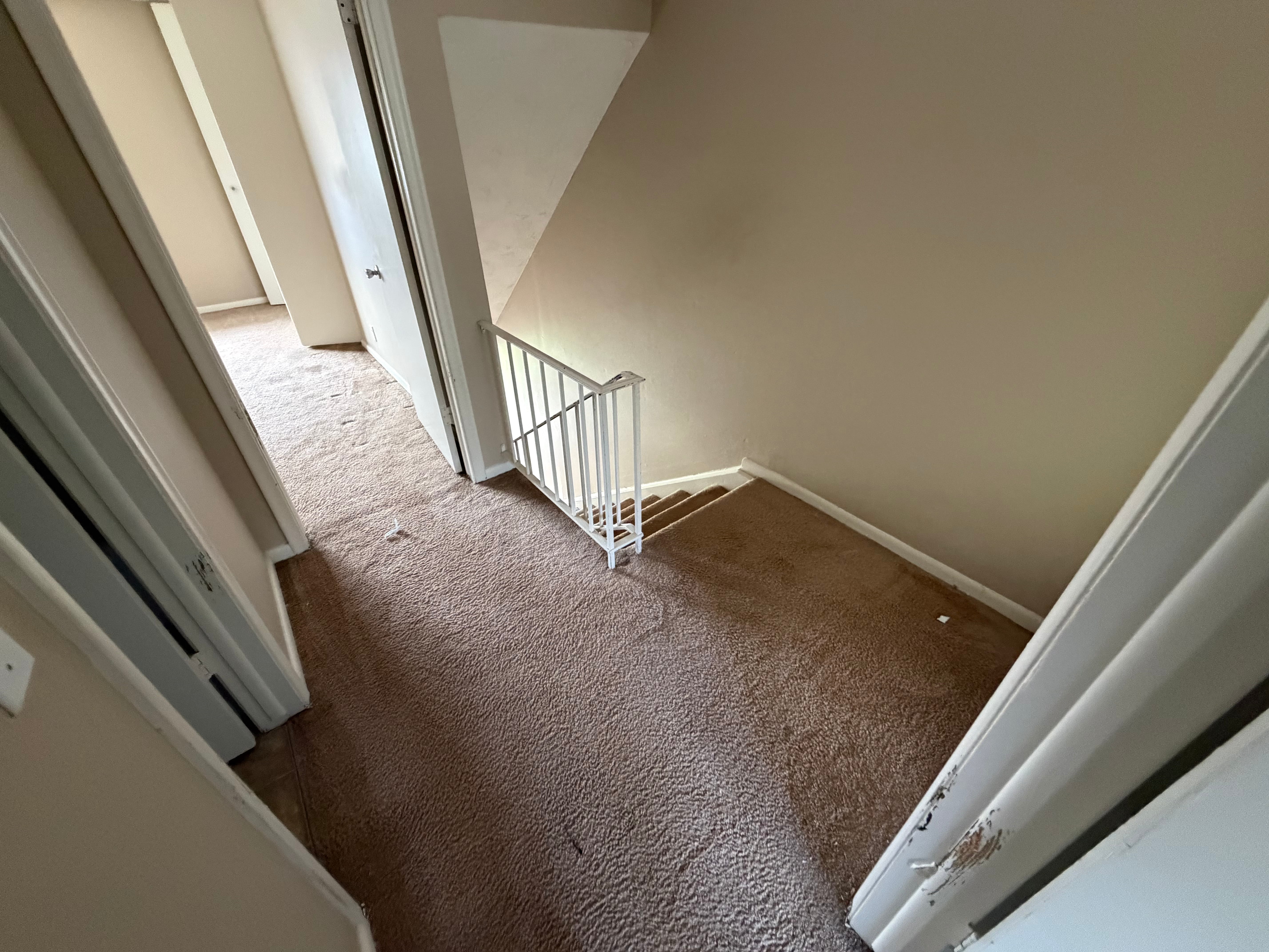 After junk removal — completely cleared and clean