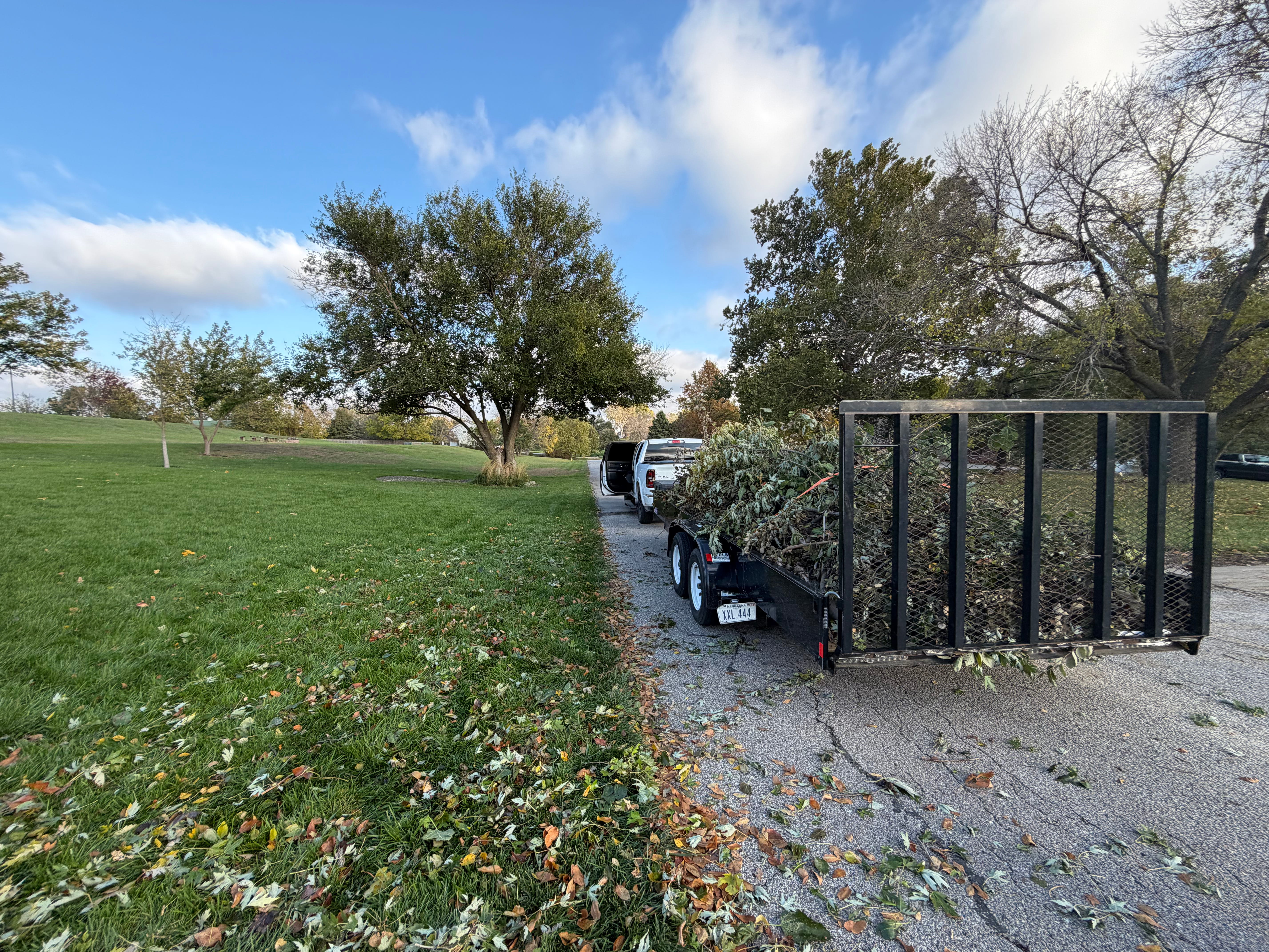 Tree debris and yard waste removal in Omaha, NE